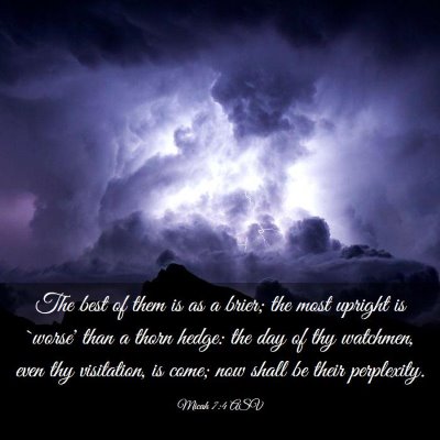 Picture 03 - Micah 7:4 ASV - The best of them is as a brier; the most upright - Bible Verse Picture