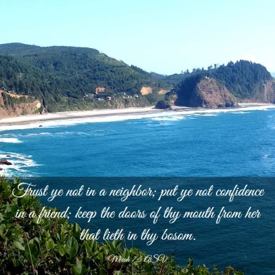 Picture 03 - Micah 7:5 ASV - Trust ye not in a neighbor; put ye not confidence - Bible Verse Picture
