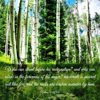 Picture 03 - Nahum 1:6 ASV - Who can stand before his indignation? and who can - Bible Verse Picture