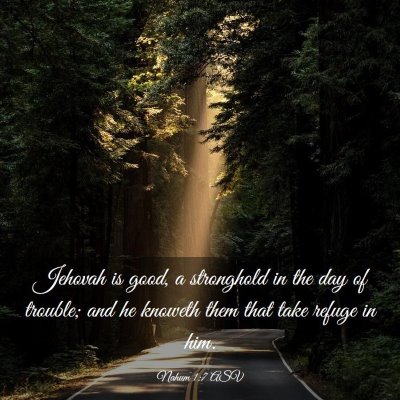 Picture 03 - Nahum 1:7 ASV - Jehovah is good, a stronghold in the day of - Bible Verse Picture