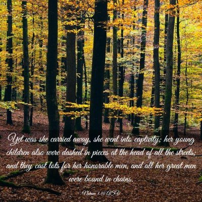 Picture 03 - Nahum 3:10 ASV - Yet was she carried away, she went into - Bible Verse Picture