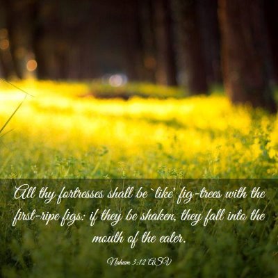 Picture 03 - Nahum 3:12 ASV - All thy fortresses shall be `like' fig-trees with - Bible Verse Picture
