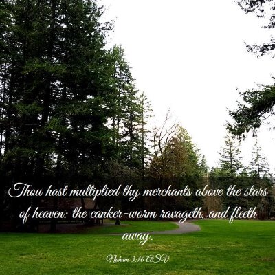 Picture 03 - Nahum 3:16 ASV - Thou hast multiplied thy merchants above the - Bible Verse Picture