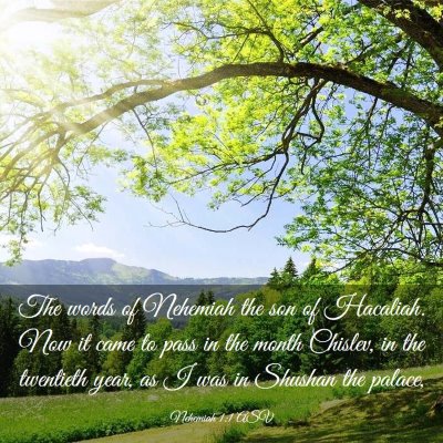 Picture 03 - Nehemiah 1:1 ASV - The words of Nehemiah the son of Hacaliah. Now it - Bible Verse Picture