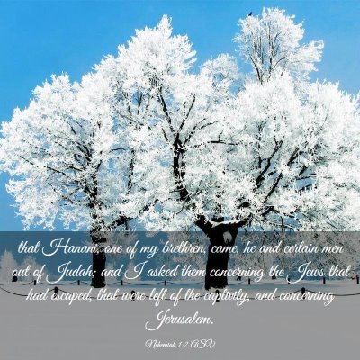 Picture 03 - Nehemiah 1:2 ASV - that Hanani, one of my brethren, came, he and - Bible Verse Picture