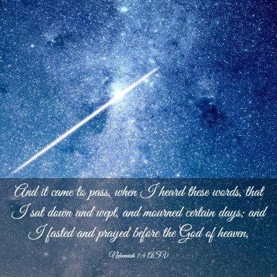 Picture 03 - Nehemiah 1:4 ASV - And it came to pass, when I heard these words, - Bible Verse Picture