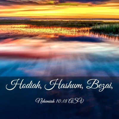 Picture 03 - Nehemiah 10:18 ASV - Hodiah, Hashum, - Bible Verse Picture