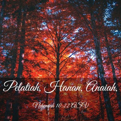 Picture 03 - Nehemiah 10:22 ASV - Pelatiah, Hanan, - Bible Verse Picture