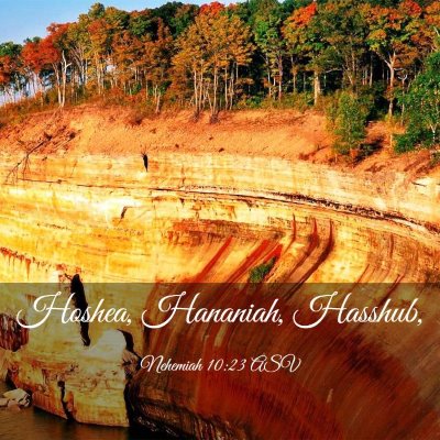 Picture 03 - Nehemiah 10:23 ASV - Hoshea, Hananiah, - Bible Verse Picture