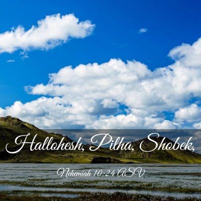 Picture 03 - Nehemiah 10:24 ASV - Hallohesh, Pilha, - Bible Verse Picture