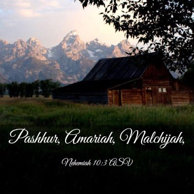 Picture 03 - Nehemiah 10:3 ASV - Pashhur, Amariah, - Bible Verse Picture