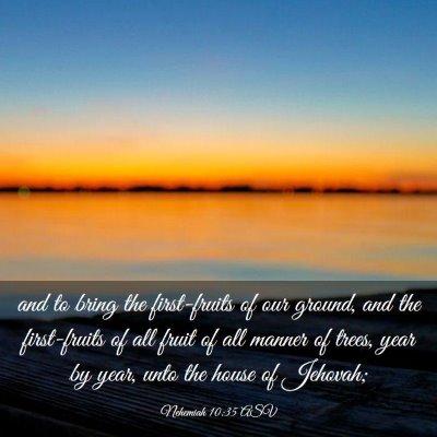 Picture 03 - Nehemiah 10:35 ASV - and to bring the first-fruits of our ground, and - Bible Verse Picture