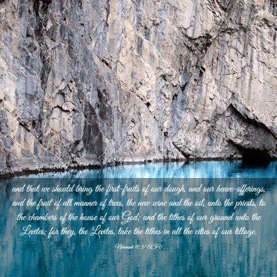 Picture 03 - Nehemiah 10:37 ASV - and that we should bring the first-fruits of our - Bible Verse Picture