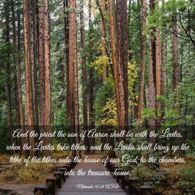 Picture 03 - Nehemiah 10:38 ASV - And the priest the son of Aaron shall be with the - Bible Verse Picture