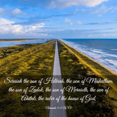 Picture 03 - Nehemiah 11:11 ASV - Seraiah the son of Hilkiah, the son of Meshullam, - Bible Verse Picture