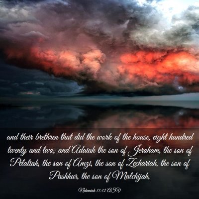 Picture 03 - Nehemiah 11:12 ASV - and their brethren that did the work of the - Bible Verse Picture