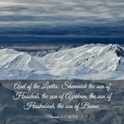 Picture 03 - Nehemiah 11:15 ASV - And of the Levites: Shemaiah the son of Hasshub, - Bible Verse Picture