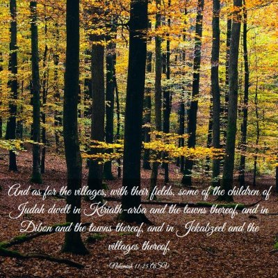 Picture 03 - Nehemiah 11:25 ASV - And as for the villages, with their fields, some - Bible Verse Picture