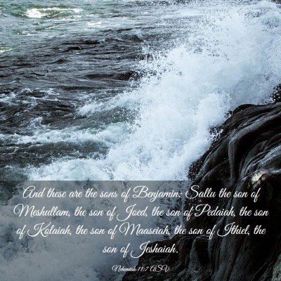 Picture 03 - Nehemiah 11:7 ASV - And these are the sons of Benjamin: Sallu the son - Bible Verse Picture