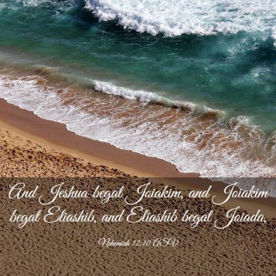 Picture 03 - Nehemiah 12:10 ASV - And Jeshua begat Joiakim, and Joiakim begat - Bible Verse Picture