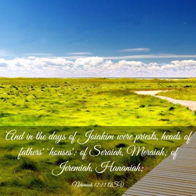 Picture 03 - Nehemiah 12:12 ASV - And in the days of Joiakim were priests, heads of - Bible Verse Picture