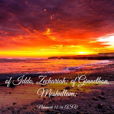 Picture 03 - Nehemiah 12:16 ASV - of Iddo, Zechariah; of Ginnethon, - Bible Verse Picture