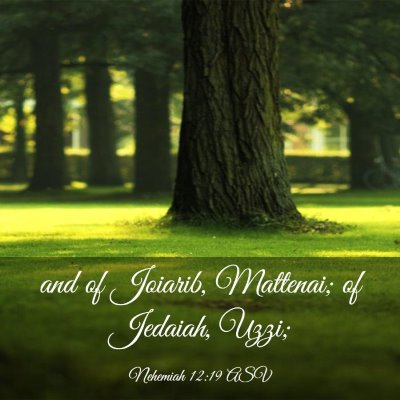 Picture 03 - Nehemiah 12:19 ASV - and of Joiarib, Mattenai; of Jedaiah, - Bible Verse Picture