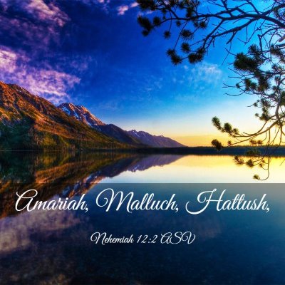 Picture 03 - Nehemiah 12:2 ASV - Amariah, Malluch, - Bible Verse Picture