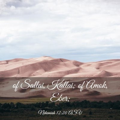 Picture 03 - Nehemiah 12:20 ASV - of Sallai, Kallai; of Amok, - Bible Verse Picture