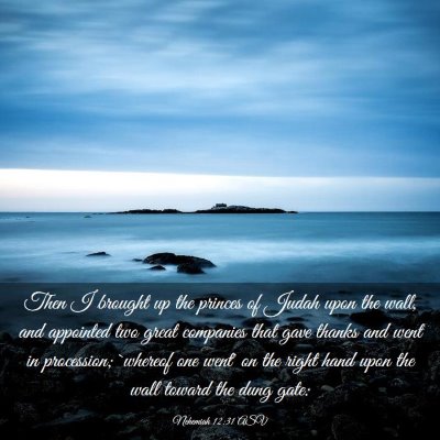 Picture 03 - Nehemiah 12:31 ASV - Then I brought up the princes of Judah upon the - Bible Verse Picture