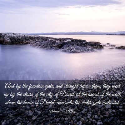Picture 03 - Nehemiah 12:37 ASV - And by the fountain gate, and straight before - Bible Verse Picture