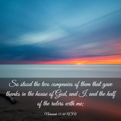 Picture 03 - Nehemiah 12:40 ASV - So stood the two companies of them that gave - Bible Verse Picture
