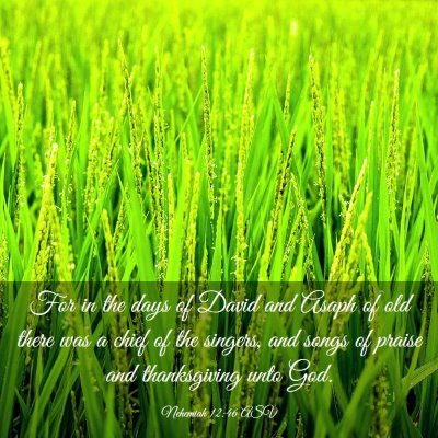 Picture 03 - Nehemiah 12:46 ASV - For in the days of David and Asaph of old there - Bible Verse Picture