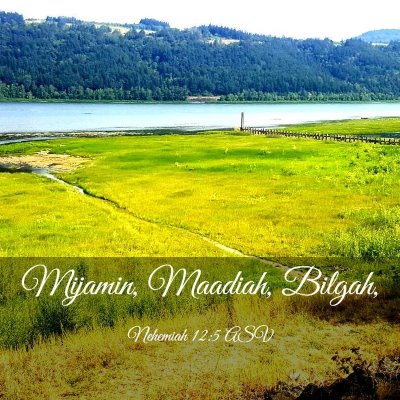 Picture 03 - Nehemiah 12:5 ASV - Mijamin, Maadiah, - Bible Verse Picture