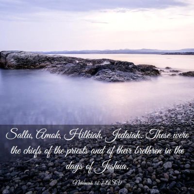 Picture 03 - Nehemiah 12:7 ASV - Sallu, Amok, Hilkiah, Jedaiah. These were the - Bible Verse Picture