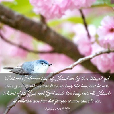 Picture 03 - Nehemiah 13:26 ASV - Did not Solomon king of Israel sin by these - Bible Verse Picture