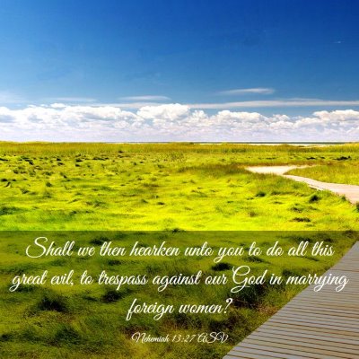Picture 03 - Nehemiah 13:27 ASV - Shall we then hearken unto you to do all this - Bible Verse Picture