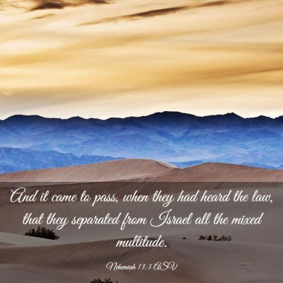 Picture 03 - Nehemiah 13:3 ASV - And it came to pass, when they had heard the law, - Bible Verse Picture