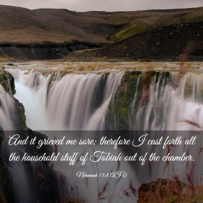 Picture 03 - Nehemiah 13:8 ASV - And it grieved me sore: therefore I cast forth - Bible Verse Picture