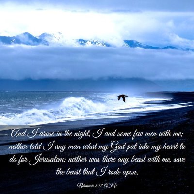 Picture 03 - Nehemiah 2:12 ASV - And I arose in the night, I and some few men with - Bible Verse Picture