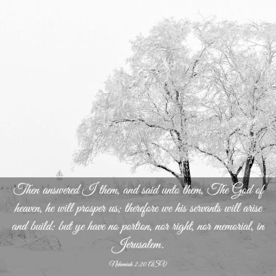 Picture 03 - Nehemiah 2:20 ASV - Then answered I them, and said unto them, The God - Bible Verse Picture
