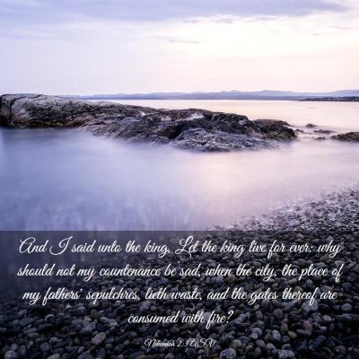 Picture 03 - Nehemiah 2:3 ASV - And I said unto the king, Let the king live for - Bible Verse Picture