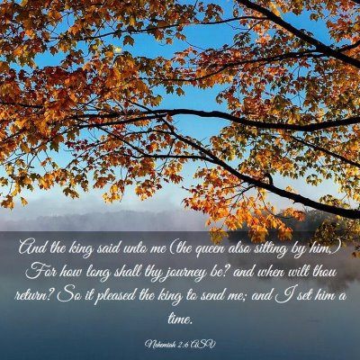 Picture 03 - Nehemiah 2:6 ASV - And the king said unto me (the queen also sitting - Bible Verse Picture