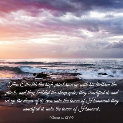 Picture 03 - Nehemiah 3:1 ASV - Then Eliashib the high priest rose up with his - Bible Verse Picture