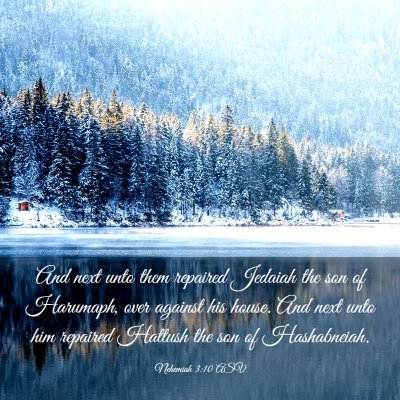 Picture 03 - Nehemiah 3:10 ASV - And next unto them repaired Jedaiah the son of - Bible Verse Picture