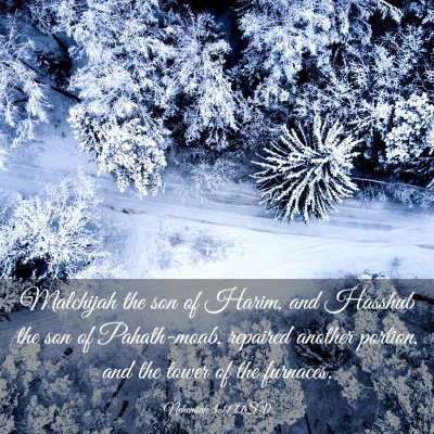 Picture 03 - Nehemiah 3:11 ASV - Malchijah the son of Harim, and Hasshub the son - Bible Verse Picture