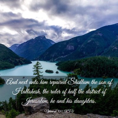 Picture 03 - Nehemiah 3:12 ASV - And next unto him repaired Shallum the son of - Bible Verse Picture