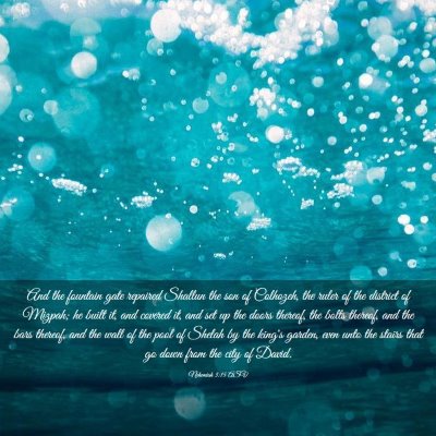 Picture 03 - Nehemiah 3:15 ASV - And the fountain gate repaired Shallun the son of - Bible Verse Picture