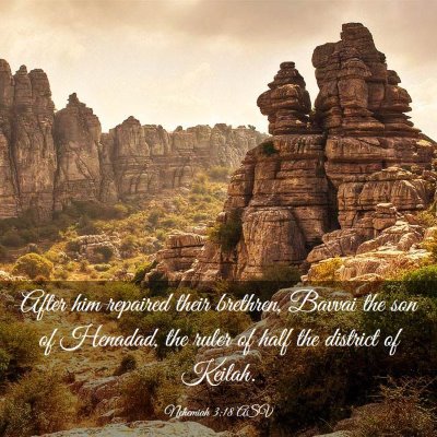Picture 03 - Nehemiah 3:18 ASV - After him repaired their brethren, Bavvai the son - Bible Verse Picture