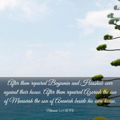 Picture 03 - Nehemiah 3:23 ASV - After them repaired Benjamin and Hasshub over - Bible Verse Picture